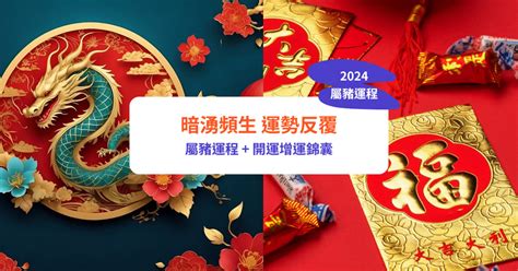 2024生肖豬運勢|【屬豬2024生肖運勢】暗湧頻生，運勢反覆｜屬豬運 